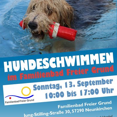 Hundeschwimmen 2020