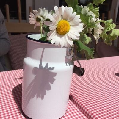 Blume Caf� Auszeit