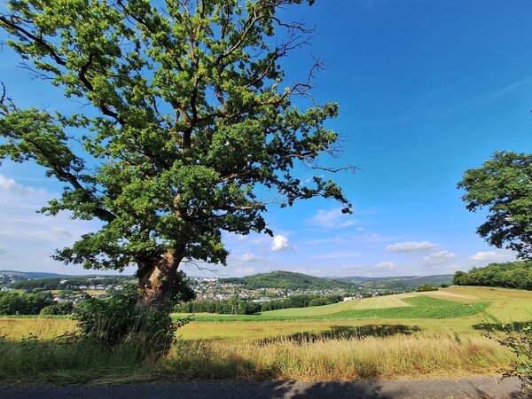 Hellerberg mit Blick auf Zeppenfeld