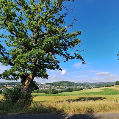 Hellerberg mit Blick auf Zeppenfeld