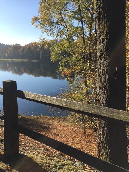 Waldsee