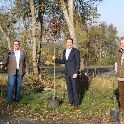 Neugeborenen Aktion 2020