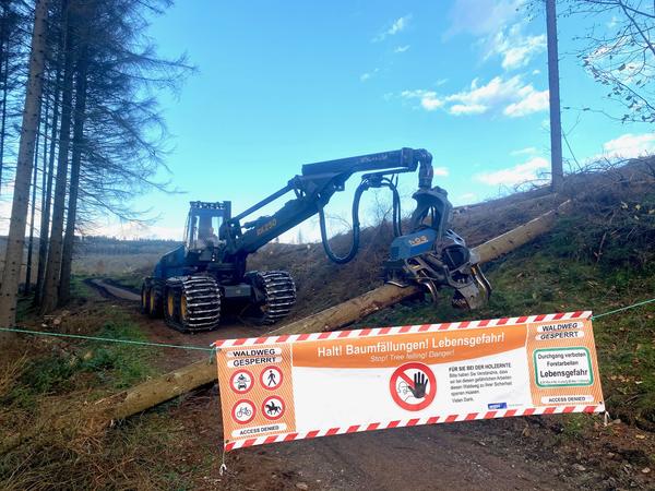 Baumf�llarbeiten ein der Gemeinde Neunkirchen