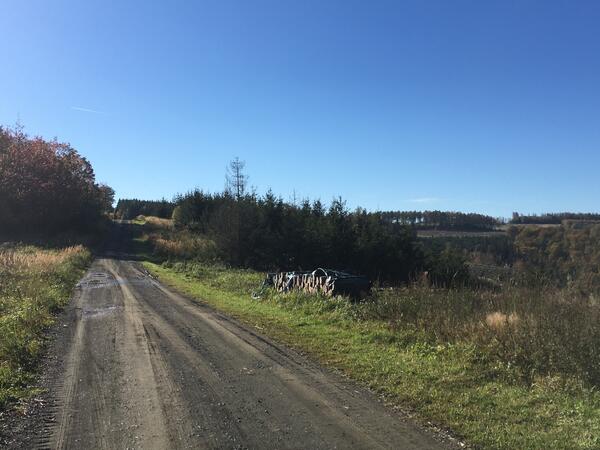 Wirtschaftsweg in der Gemeinde Neunkirchen