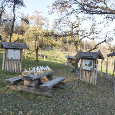 Obstwiese in Wiederstein