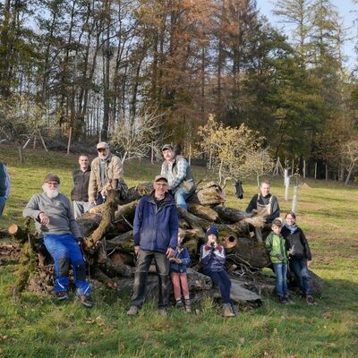 Totholzhaufen voller Leben